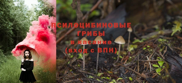 не бодяженный Арсеньев