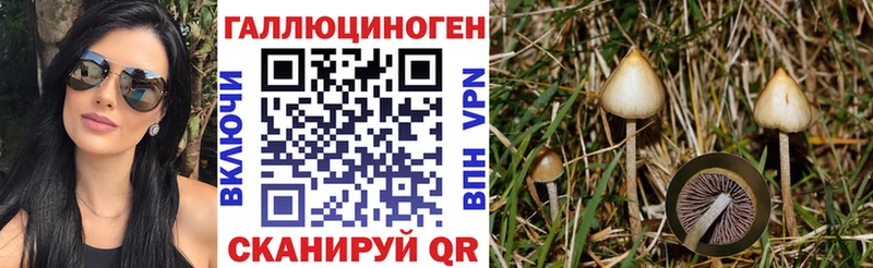 Псилоцибиновые грибы ЛСД  как найти наркотики  даркнет наркотические препараты  Порхов 